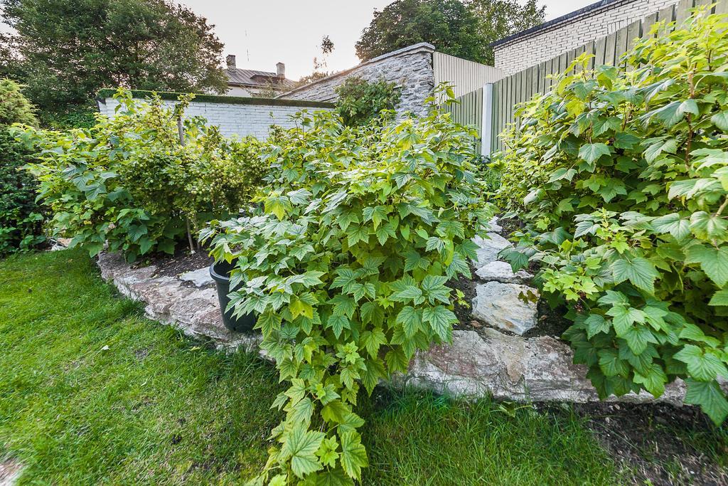 City Center Garden Camping Talin Exterior foto