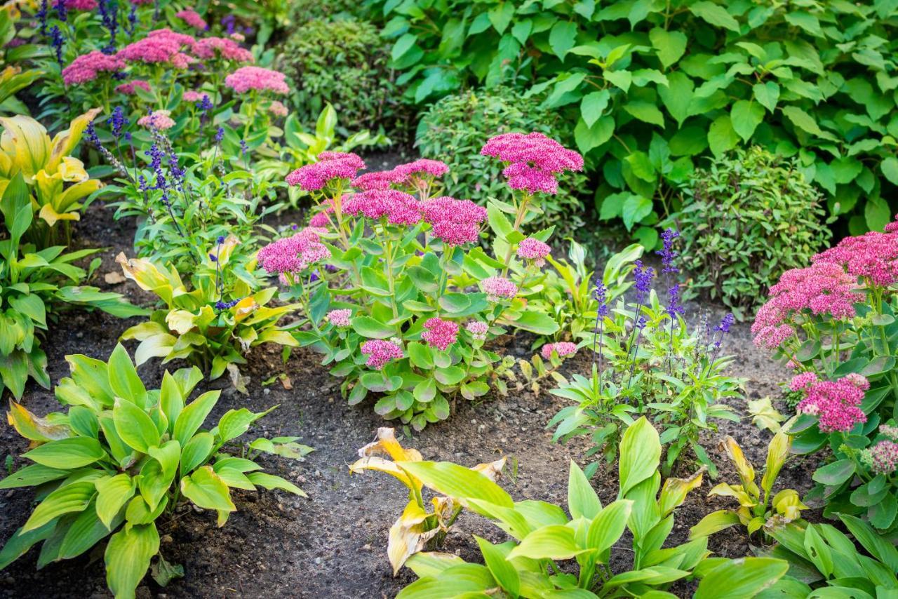 City Center Garden Camping Talin Exterior foto